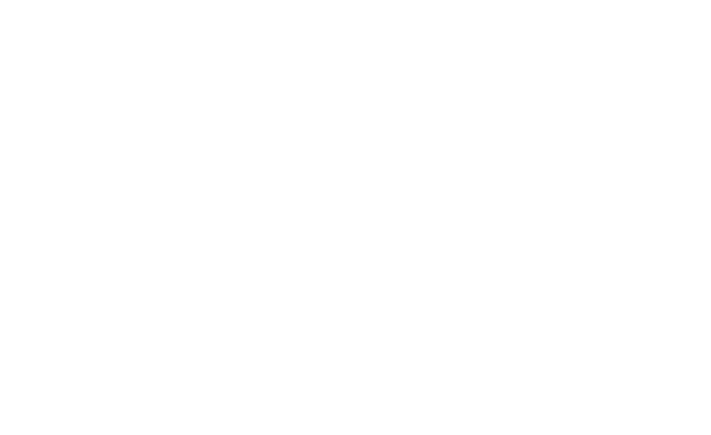 CNEE Logo